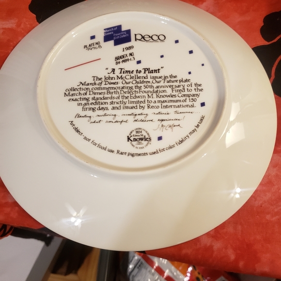 Decorative Plate - Picture 3 of 4